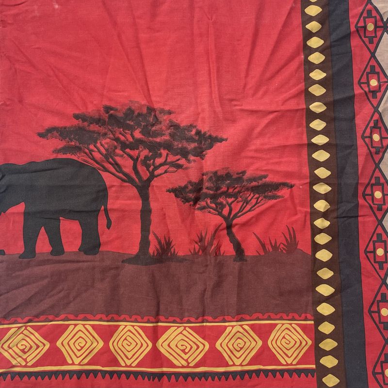 Crépuscule dans la savane