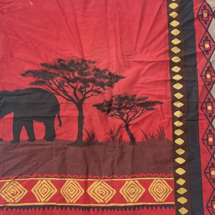 Crépuscule dans la savane