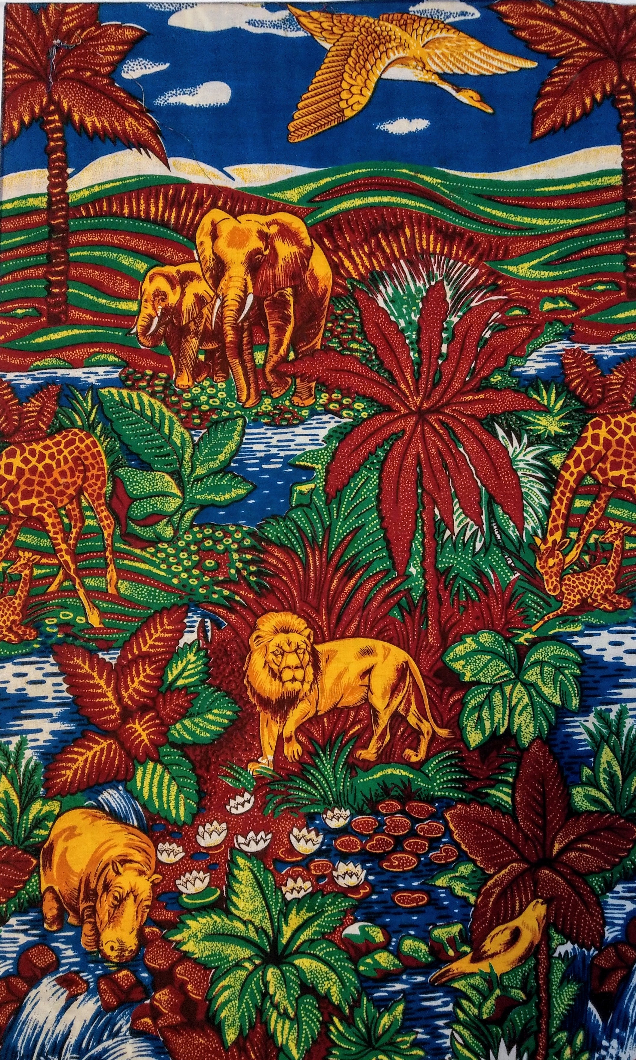Collection Terre d'Afrique
