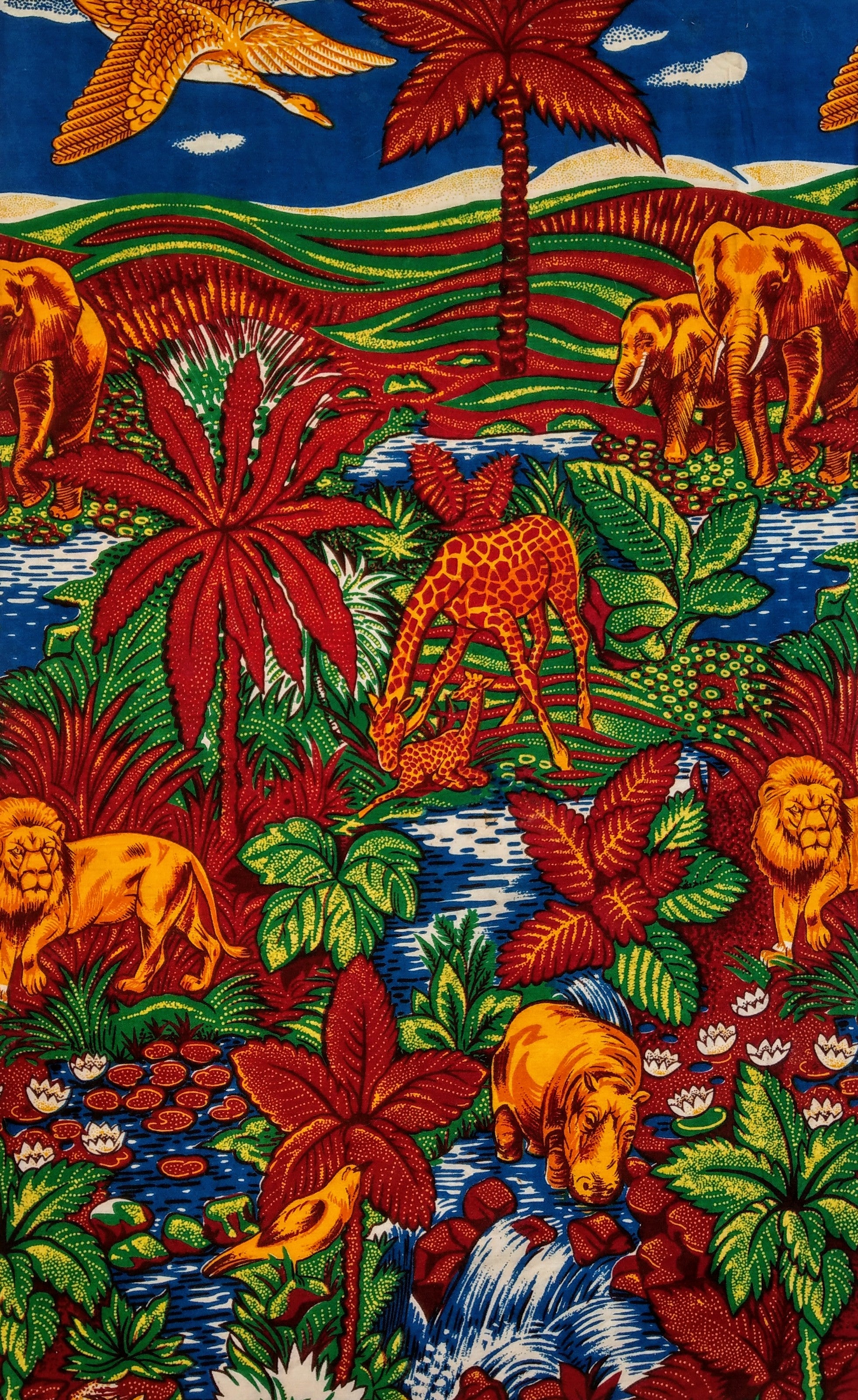 Collection Terre d'Afrique