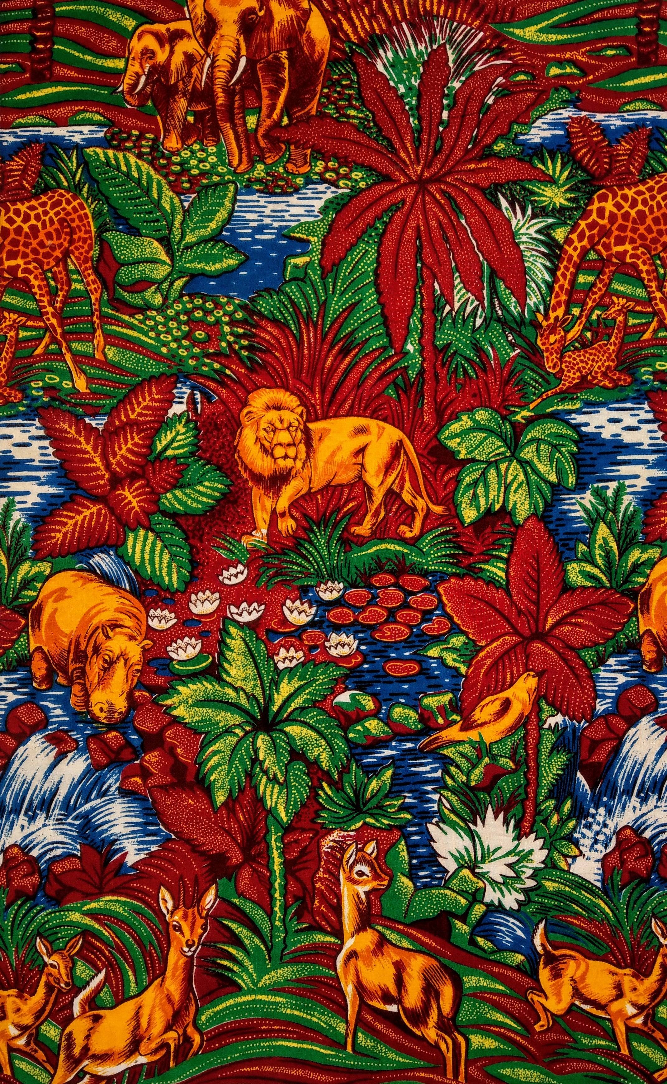 Collection Terre d'Afrique